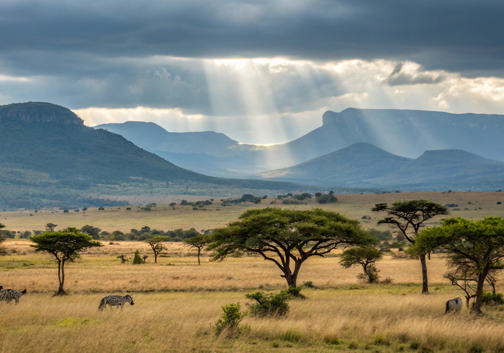 우간다 사파리 전경