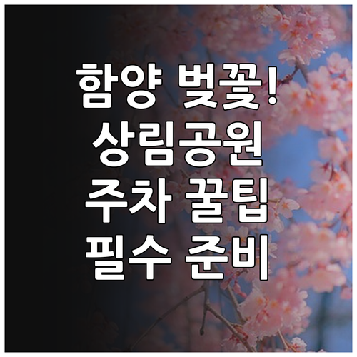 함양 벚꽃 여행 명소 추천 상림공원 ..
