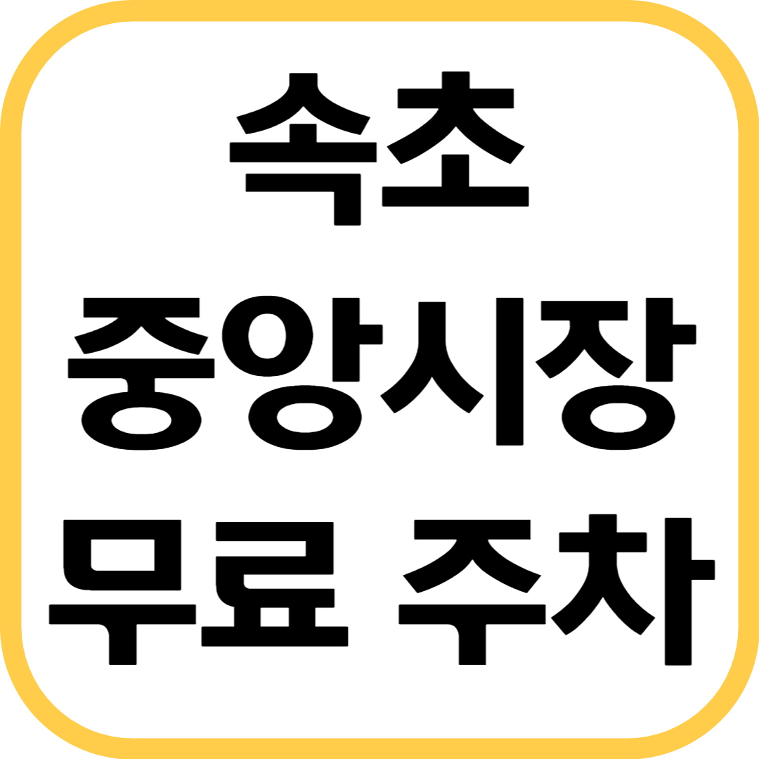 속초-중앙시장-주차장