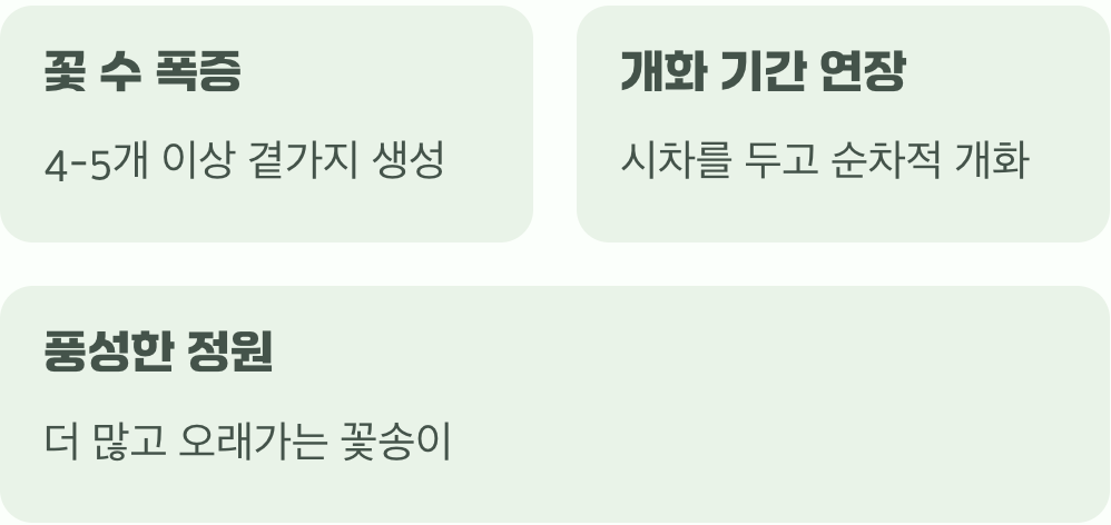 순지르기가 주는 또 다른 선물