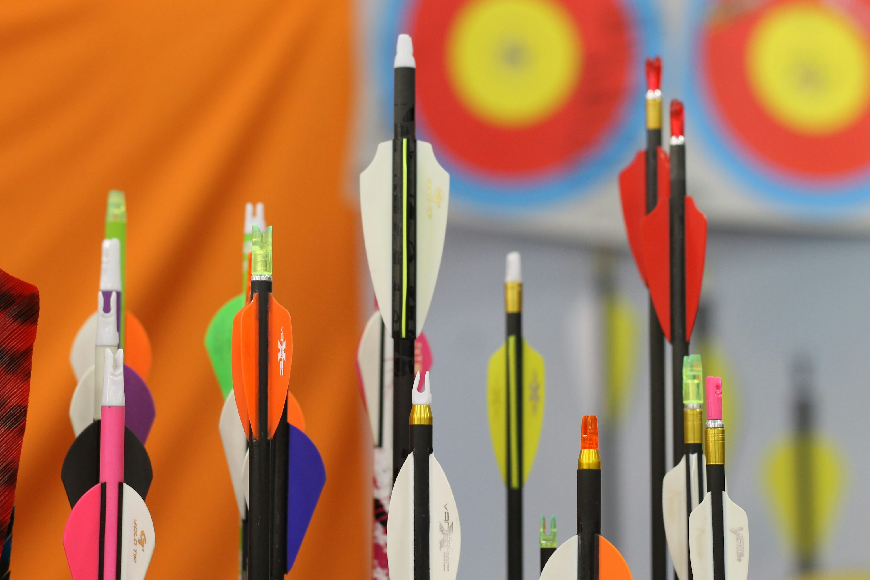 양궁 관련 이미지