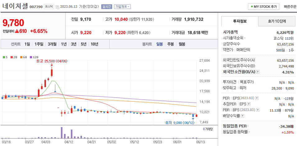 6월 13일 네이처셀 주가 정보