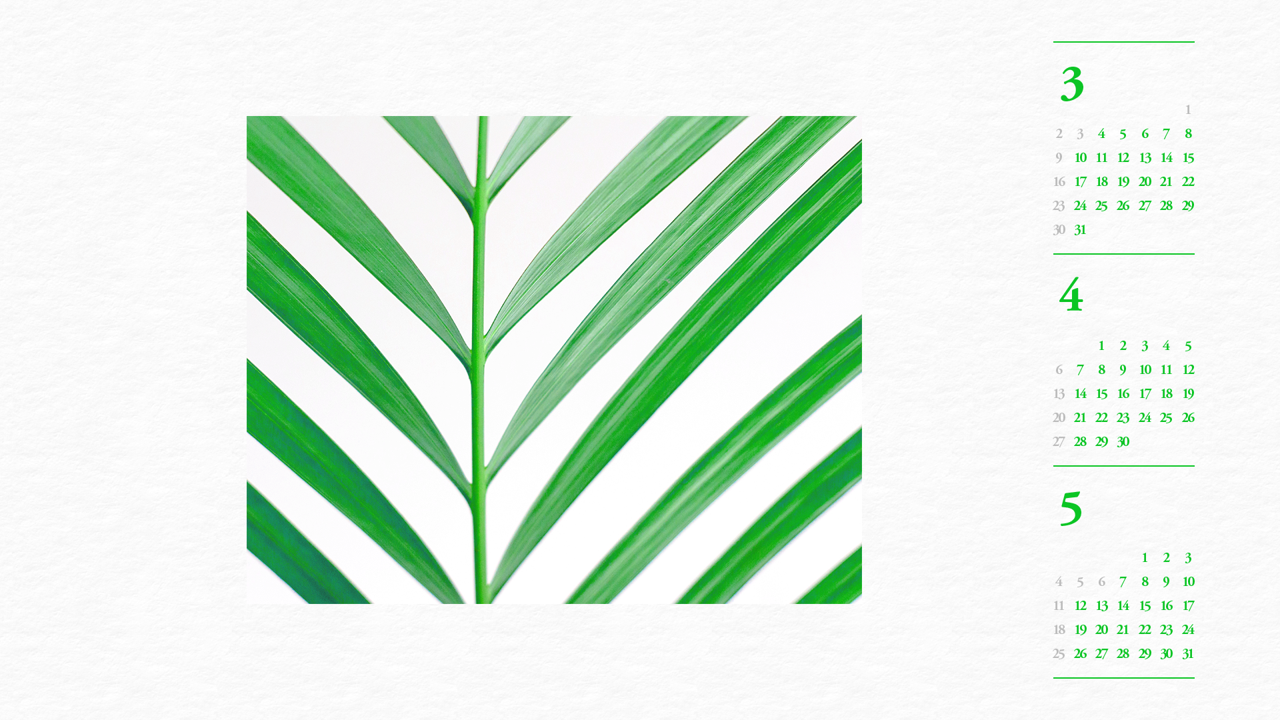 06 초록색 잎사귀 B - 2025년4월 노트북배경화면