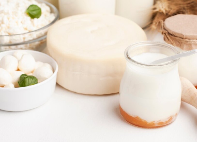 면역력 높이는 영양제