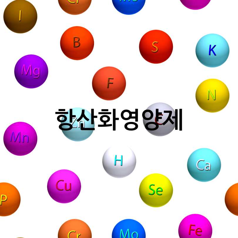 노안영양제
