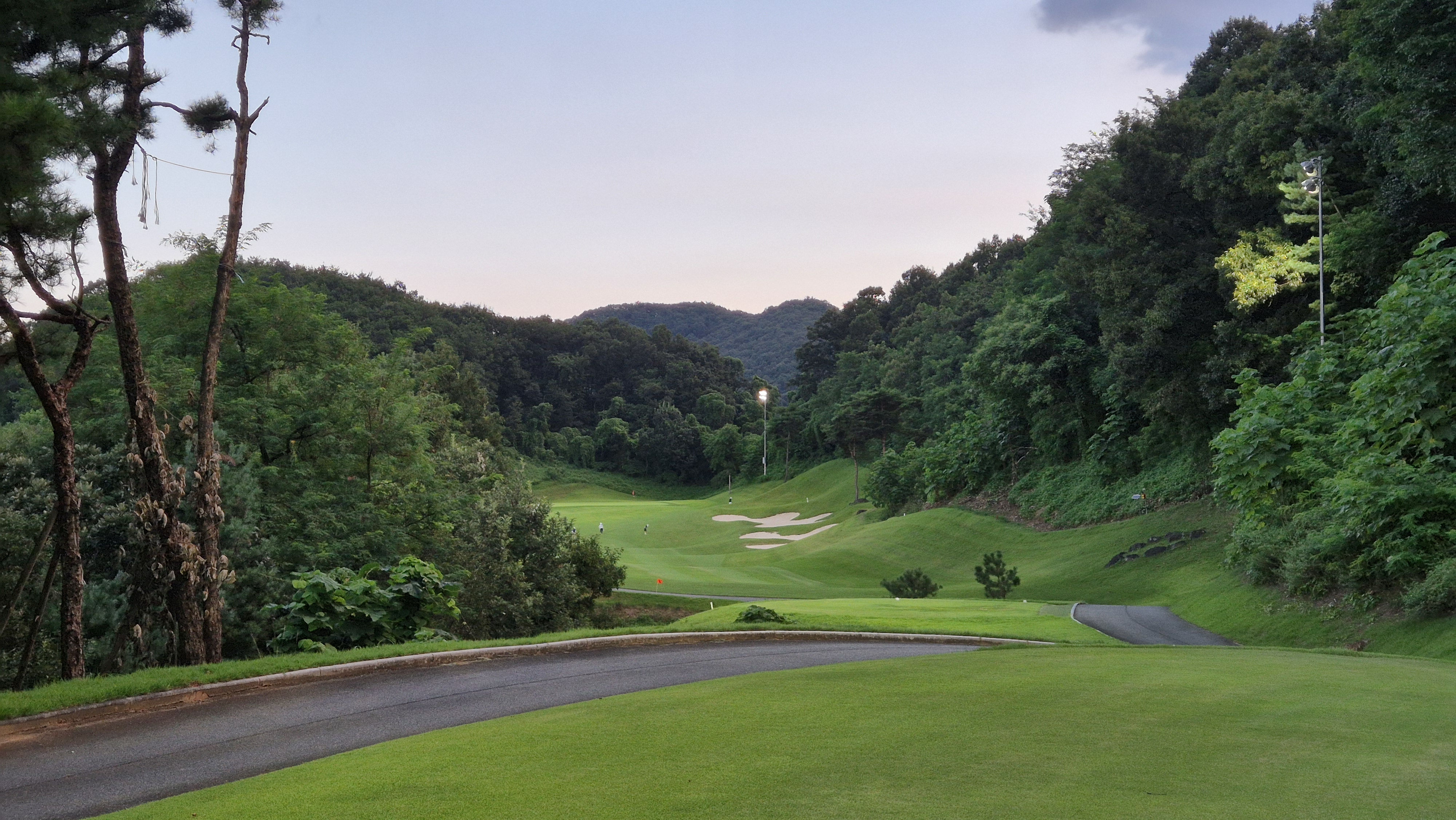 대영힐스cc 청-력 코스 사진 및 공략 정보