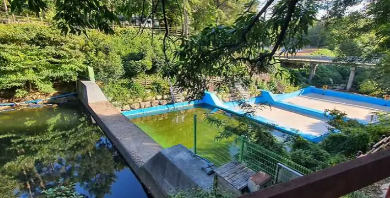 해남 물놀이 하기 좋은 계곡