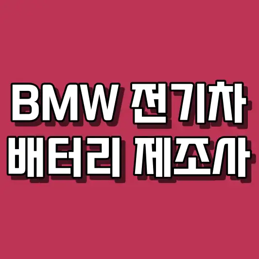 BMW 전기차 배터리 제조사