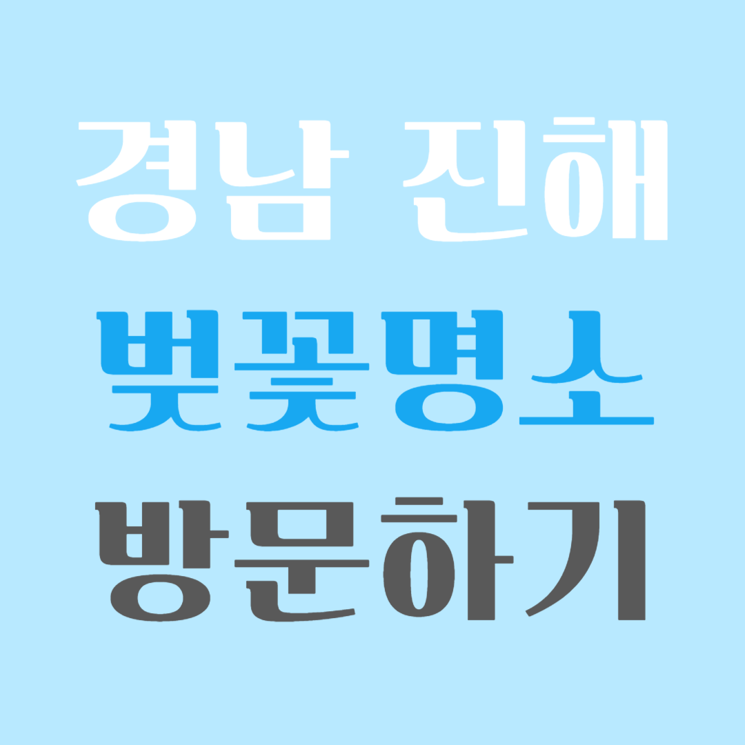진해 벚꽃명소