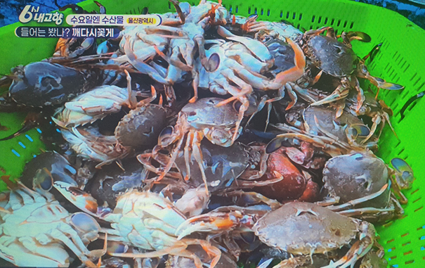 울산광역시 깨다시꽃게