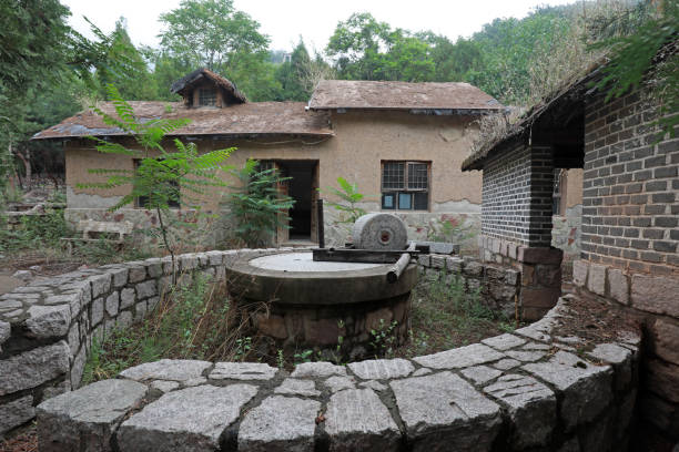 도시 속 숨어있는 폐가, 무채색의 아름다움을 보다