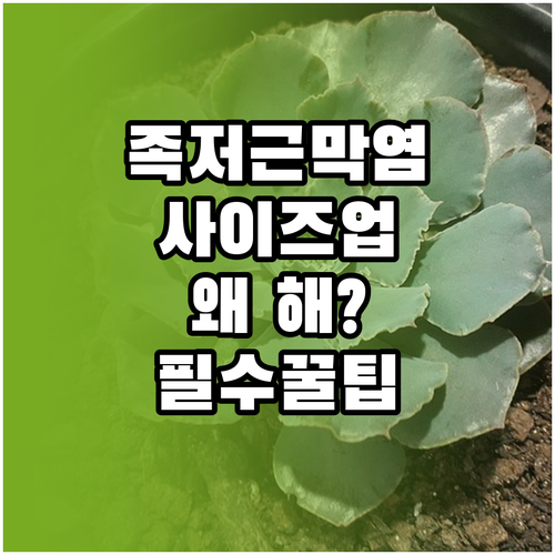 족저근막염 신발 평소 사이즈보다 크게..
