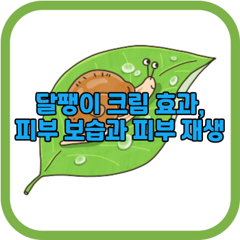 달팽이 크림 효과, 피부 보습과 피부 재생