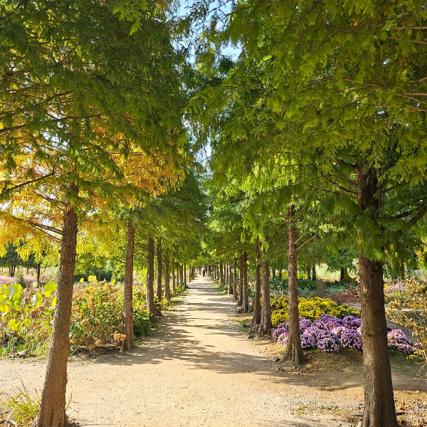 청산수목원-사랑의불시착