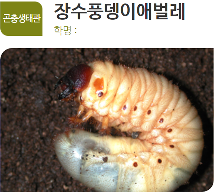 아산 생태곤충원