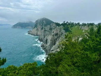 통영 연화도 수국 꽃길 산책 코스와 최적 관람 시기_2