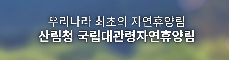대관령 자연휴양림