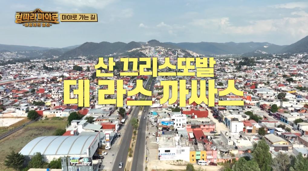 형따라 마야로