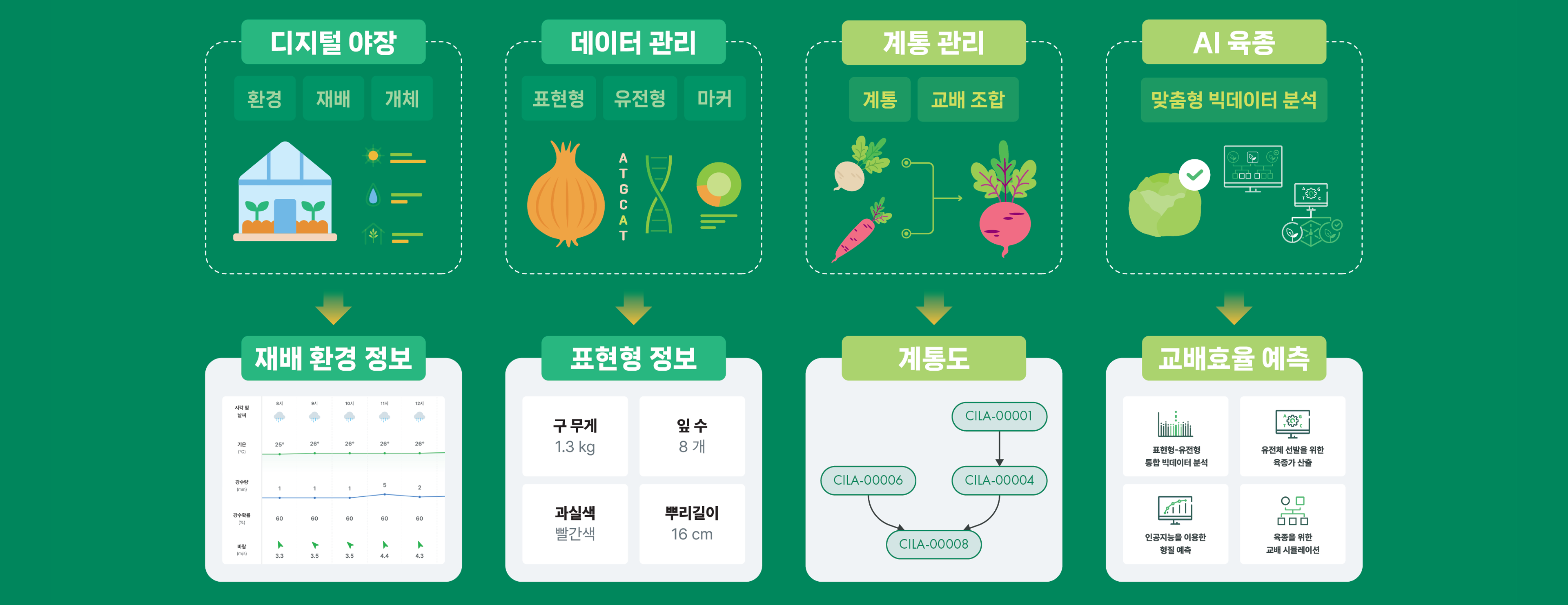 디지털 육종, 육종