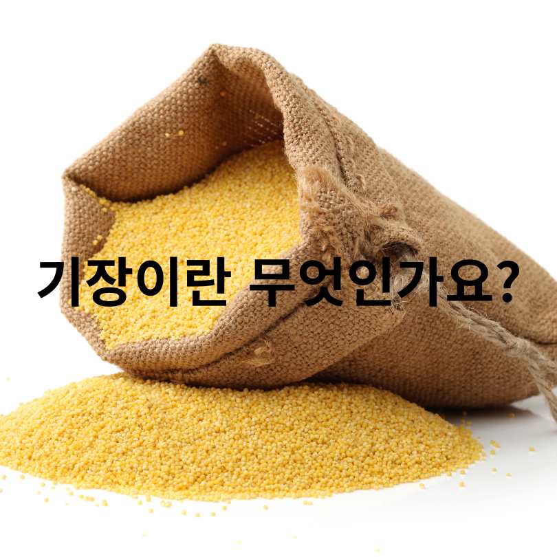 기장 속 밀리아신 효능 완벽 분석