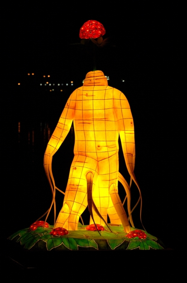 증평 인삼골 축제