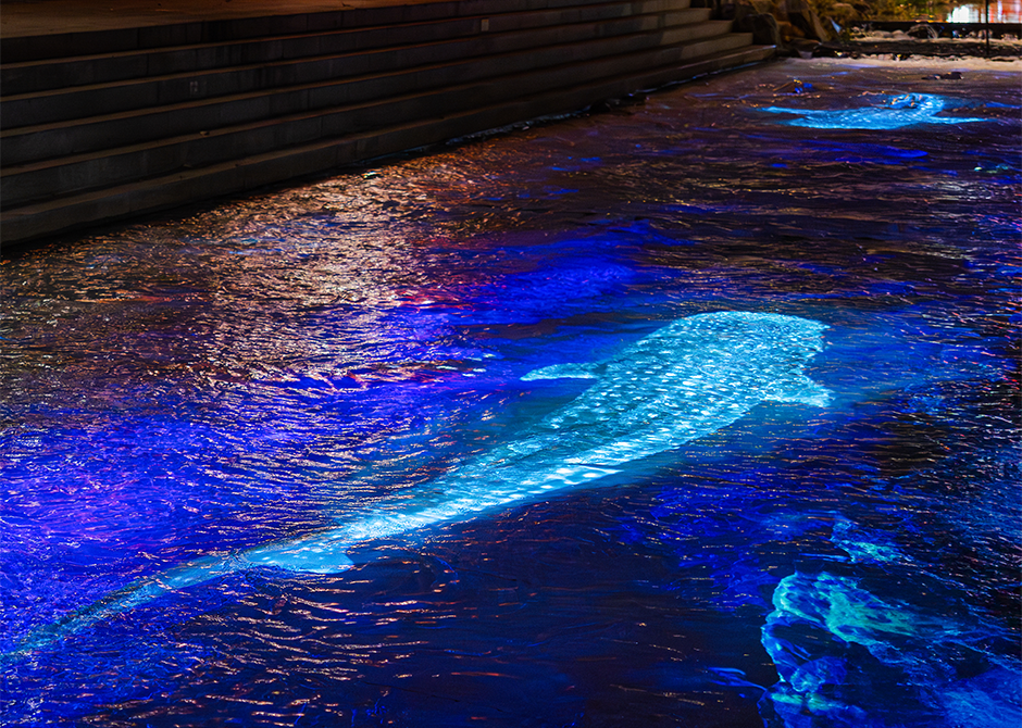 2025 서울 빛초롱 축제 일정&middot;점등식&middot;주차&middot;광화문 크리스마스 마켓 총정리 🎄