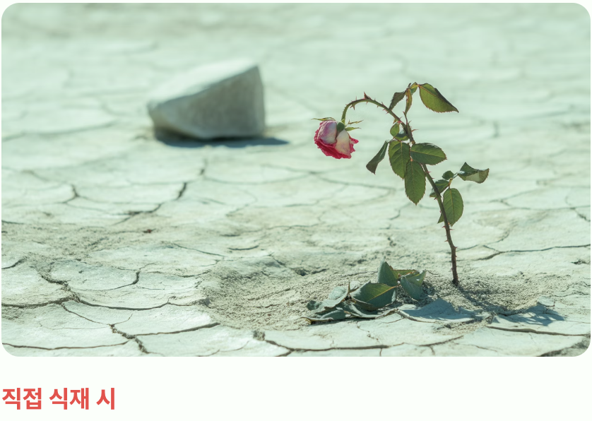 한여름은 절대 피하세요!