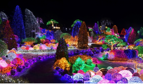 아침고요수목원