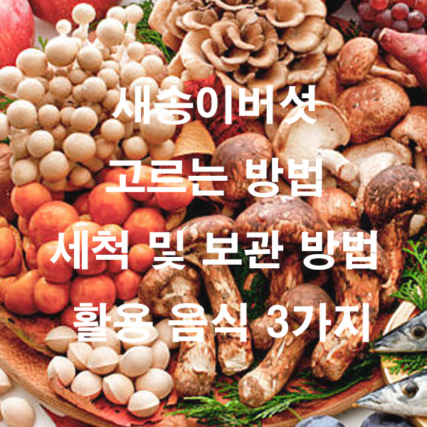 새송이버섯 고르는 방법 세척 및 보관 방법 활용 음식 3가지
