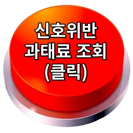신호위반 과태료