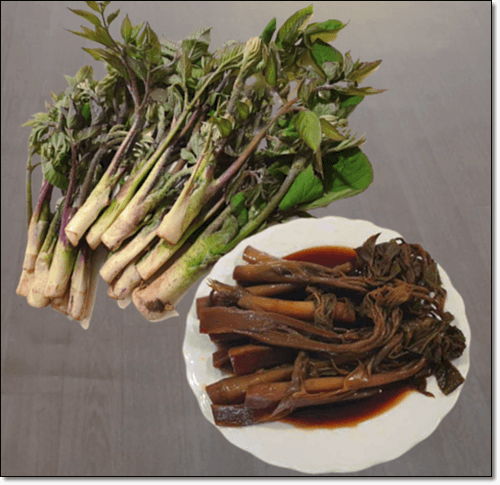 두릅 효능 및 두릅 장아찌