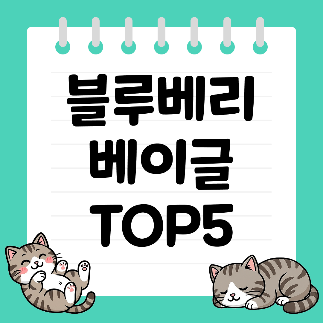 부드럽고 촉촉한 블루베리 베이글 추천 순위 TOP5