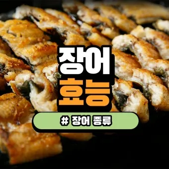 장어 효능 장어와 상극인 음식 건강 상식_2