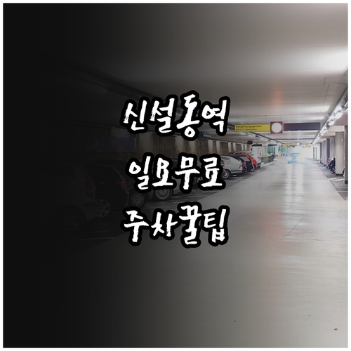 신설동역 노상 주차장 일요일 무료 이..