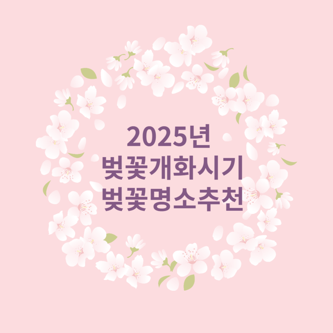 2025년 벚꽃 개화시기 , 벚꽃 명소 추천