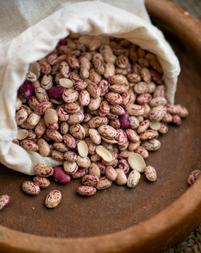 강낭콩-효능-먹는법-보관법