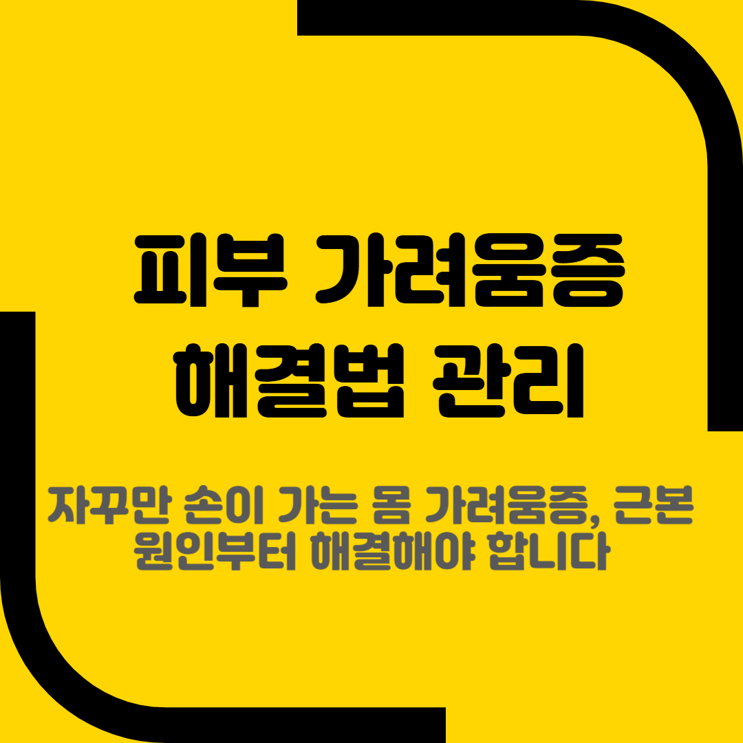 피부 가려움증 해결법 관리