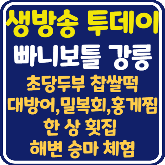 생방송 투데이 빠니보틀 강릉 초당두부 찹쌀떡, 대방어 밀복회 홍게찜, 해변 승마 체험 위치 및 정보 : 여행자들