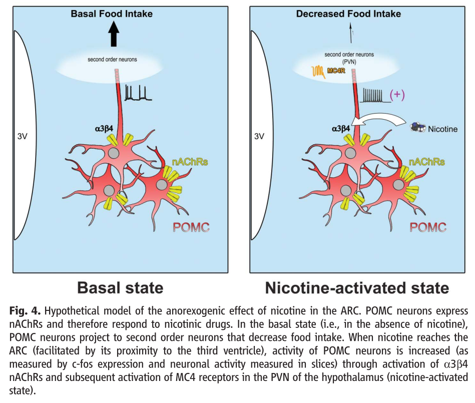 science 논문 캡쳐3