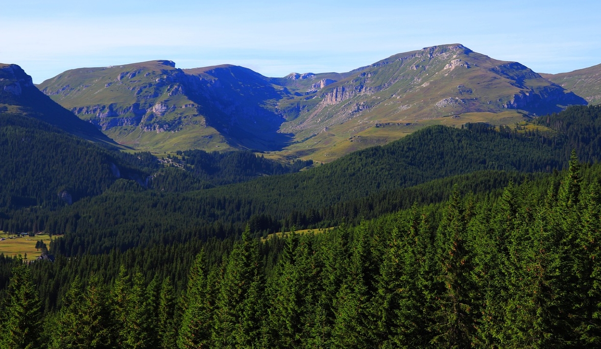 루마니아 카르파티아 부체기 산맥