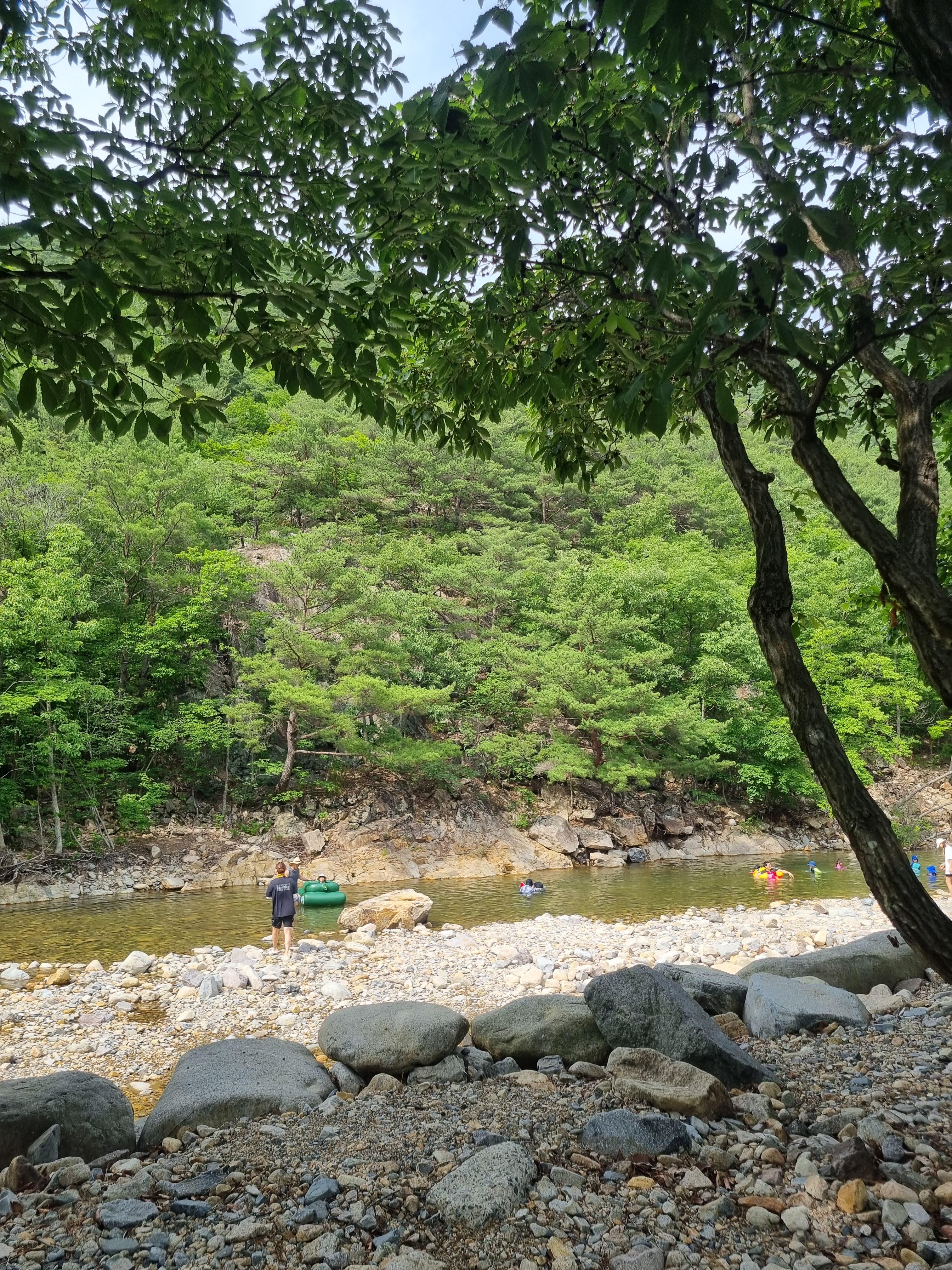 둥지펜션캠핑장