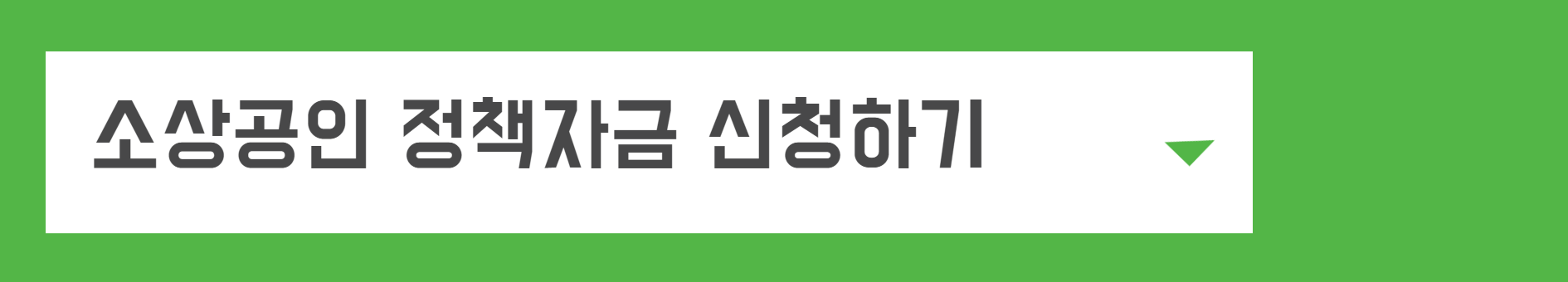 소상공인 정책자금