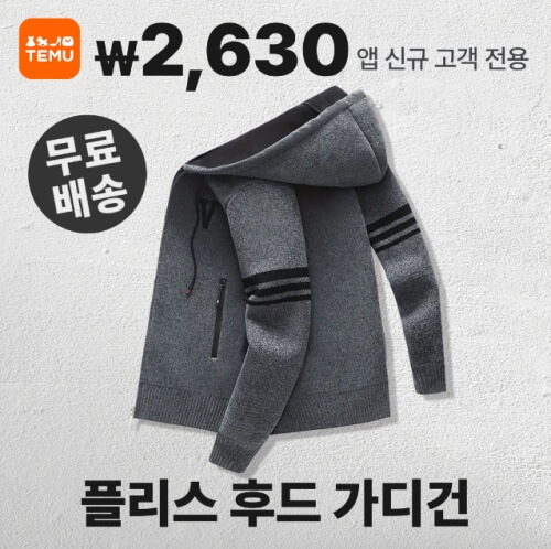외국에서 초자가로 인기있는 테무