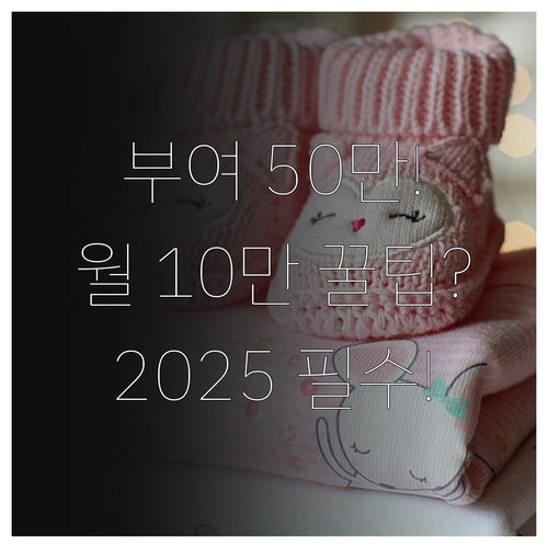부여군 2025 출산지원금 50만원 ..