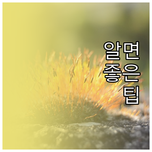 자취 독립 성공 전략! 재정 식사 안..