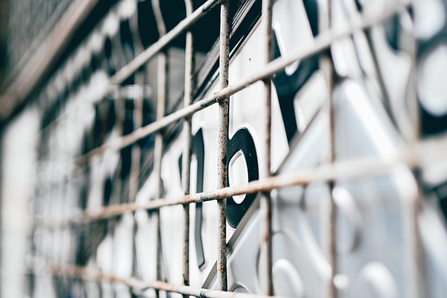 2025년 오토바이 번호판 봉인 폐지와 실효성 & 스마트 관련 사진