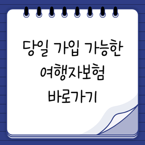 당일 가입 가능한 여행자보험 바로가기