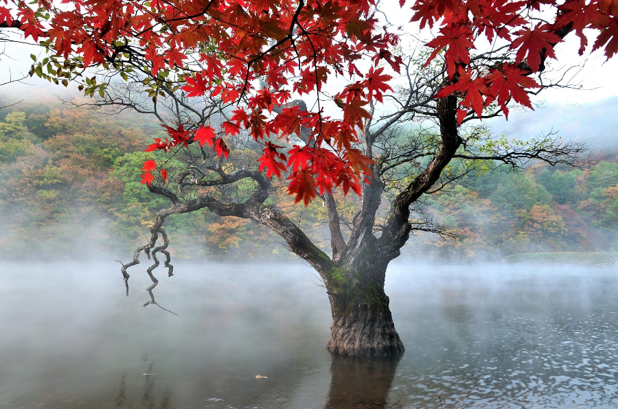 제천 의림지 가을 산책 준비물