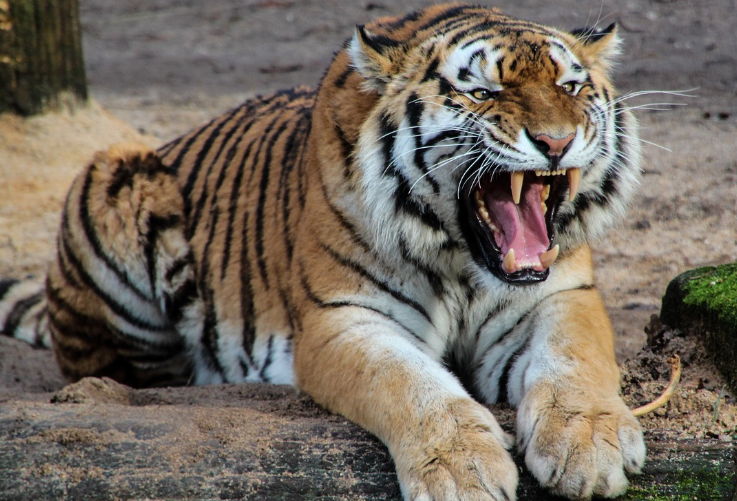 띠별운세 10월 30일