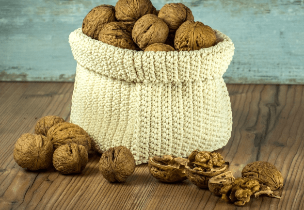 폐에 좋은 음식